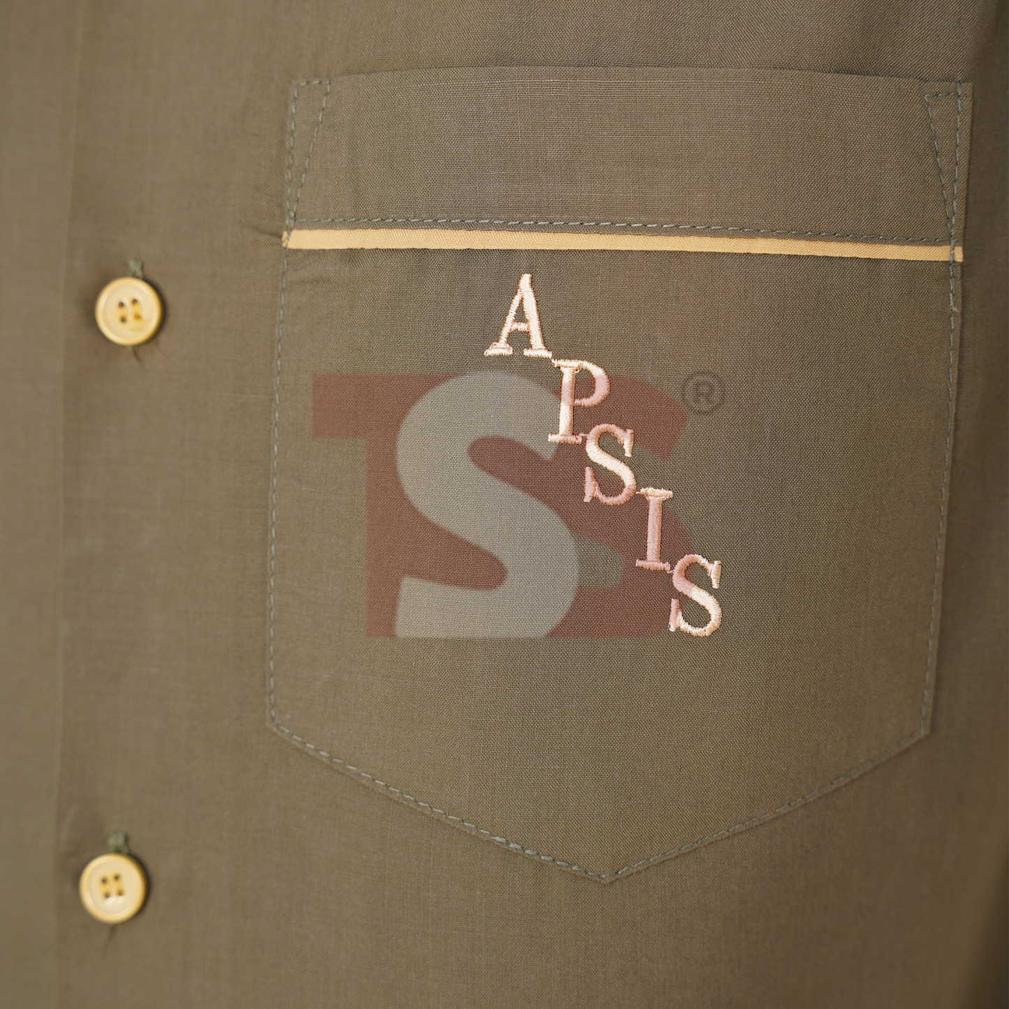 Army Public School and Colleges Shirt for O'levels