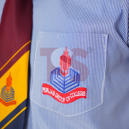 Punjab College Shirt