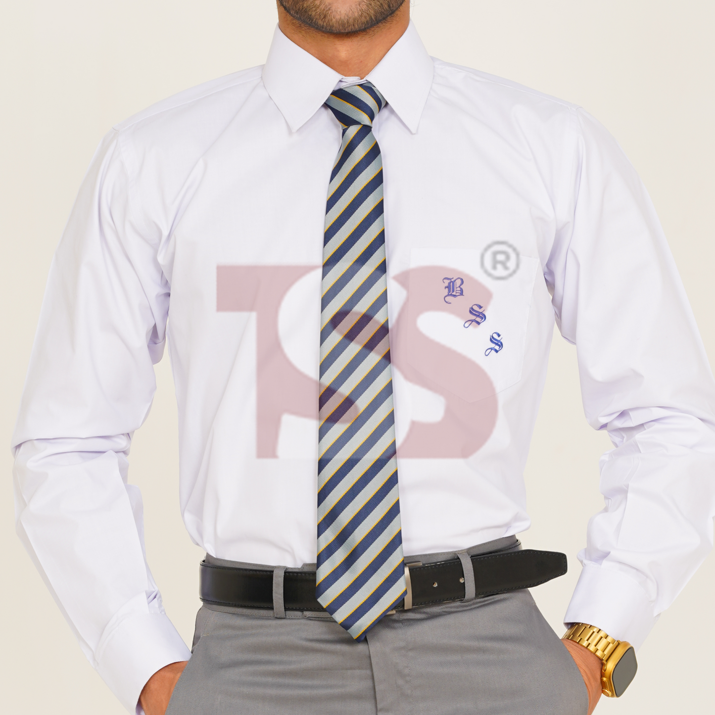 Beaconhouse School System Tie